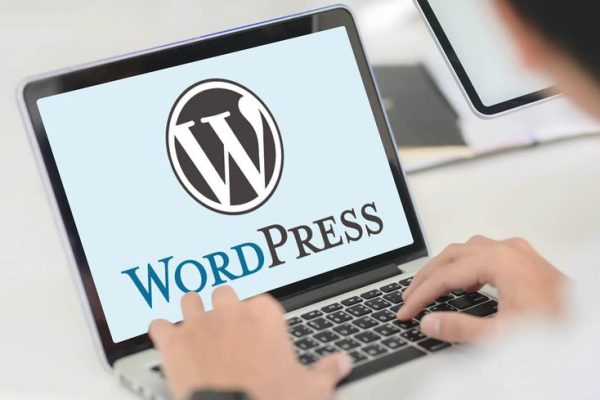 C'est quoi divi wordpress _